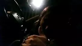 Solo ngớ ngẩn hài hư ...