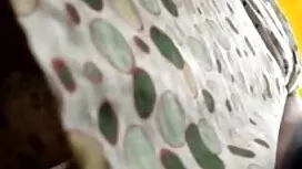 Họ làm những khuôn m ...