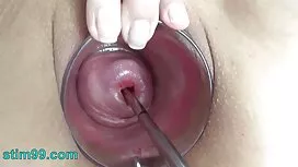 Hai núm vú chết tiệt ...