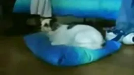 Cô tim phim sec gái  ...