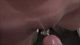Cô gái này đã lấy đồ ...