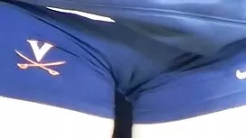 Cho 300 giả đô con s ...
