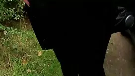Lộn ngược bà đã mạnh ...